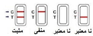 تست بارداری